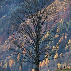 Salzburger Land in Frühling und Herbst