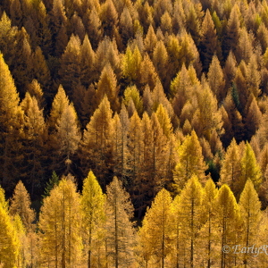 Salzburger Land in spring and autumn