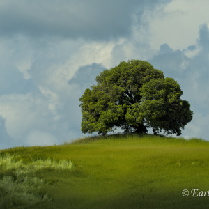 Wunderschöne Toskana im Frühjahr