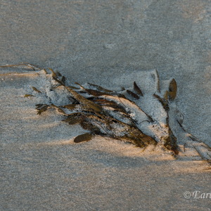 Sylt, Deutschlands schönster Sandhaufen