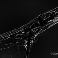 MK 220619 193135