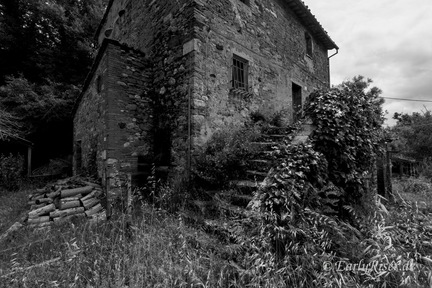 MK 260611 115224 Tuscany Italy