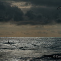 MK 210827 175617