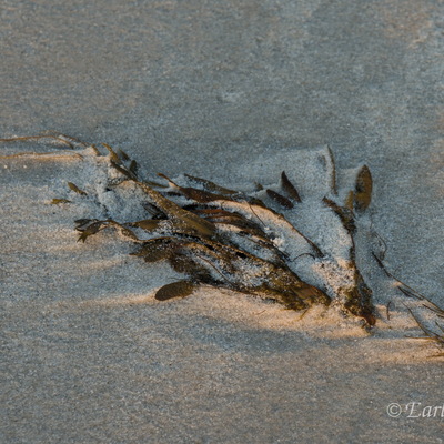 Sylt, Deutschlands schönster Sandhaufen