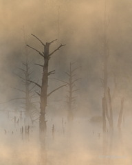 MK 220518 055221