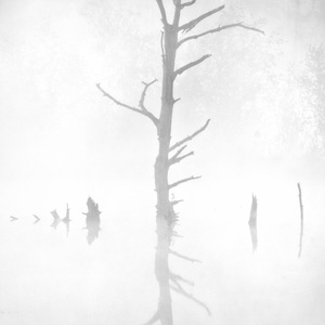 Schwenninger Moos, Landschaft im Morgennebel