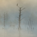 MK 240514 061647