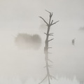 MK 250430 064928