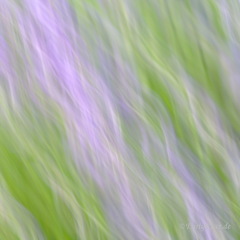 MK 190706 164411
