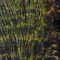 MK 211024 161652