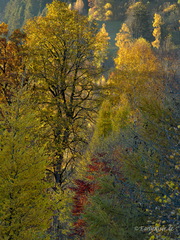 MK 170306 184200 Austria Salzburger-Land