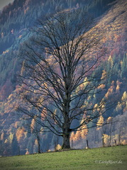 MK 170306 195030 Austria Salzburger-Land
