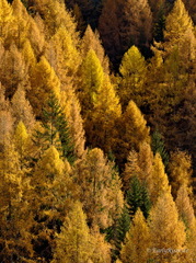 MK 170308 210410 Austria Salzburger-Land Großglockner-Hochalpenstraße