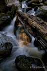 Nature and landscape